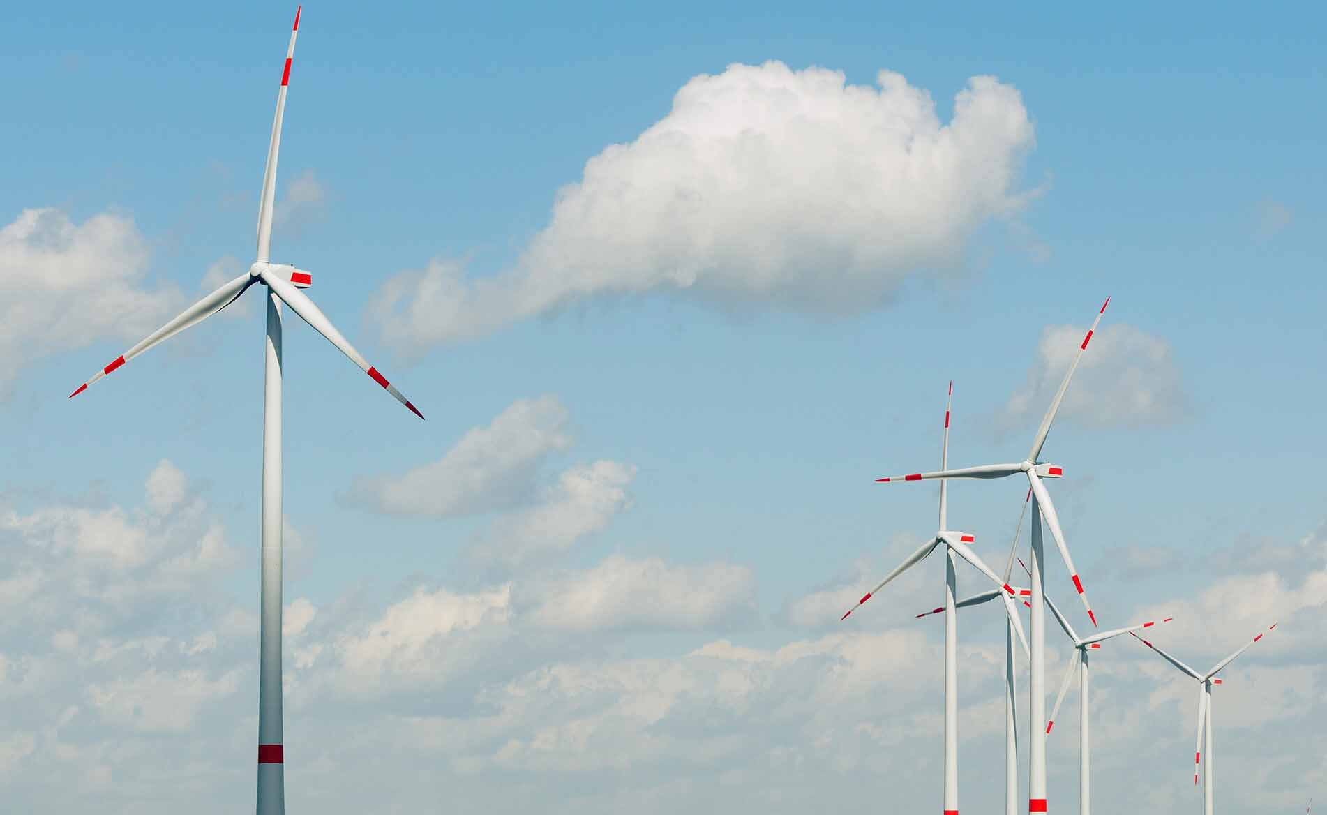 Image of windmills sourcing sustainable energy that is on report cover.