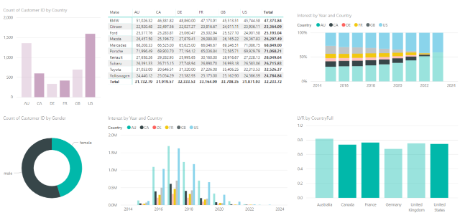 Preview of various graphs output from Power BI