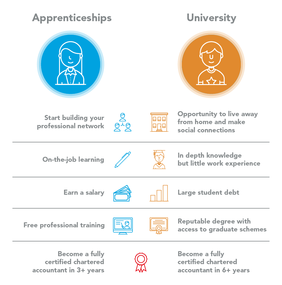 difference between apprenticeship and university program
