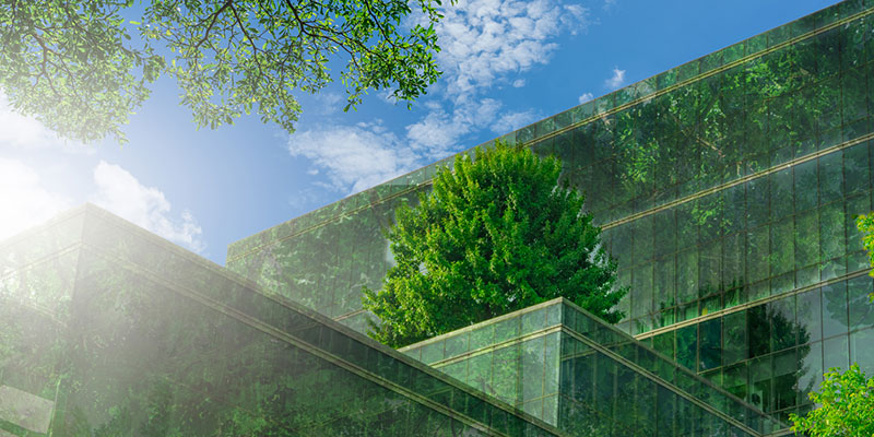 LOW ANGLE VIEW OF PLANTS AND TREES BY BUILDING