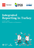 Report_integrated reporting in Turkey-page-001