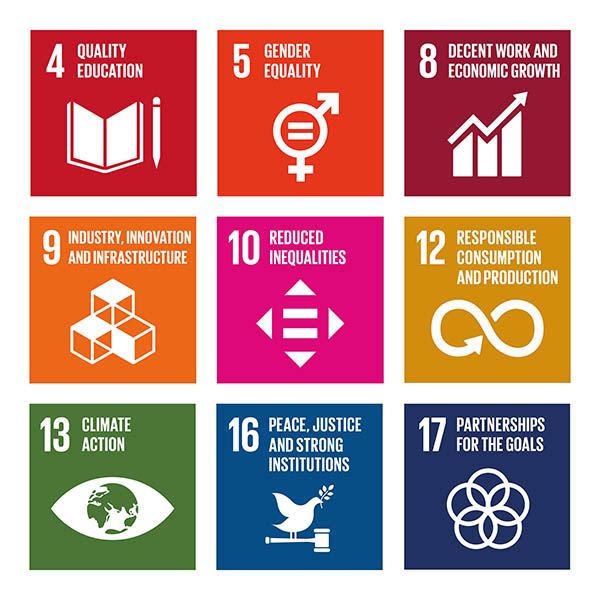 9 SDGs 