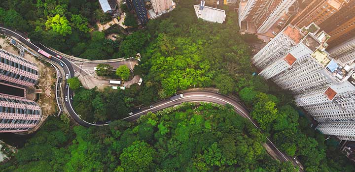 Overhead image of an large green nature space in an urban environment