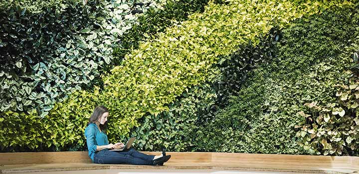 Woman sitting on the ground outside using laptop in front of a wall of green foliage