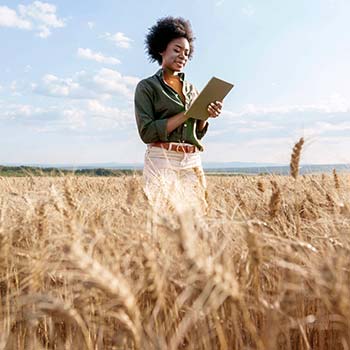 panel 1