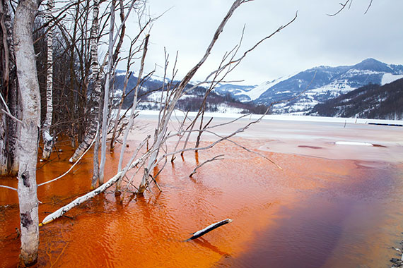 A red polluted lake and decaying trees in the foreground of pristine snowy mountains that is on the cover of the report. 