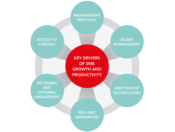 Key drivers of SME growth and productivity: management practices; talent management; adoption of technologies; research and development and innovation; and networks and external engagement.