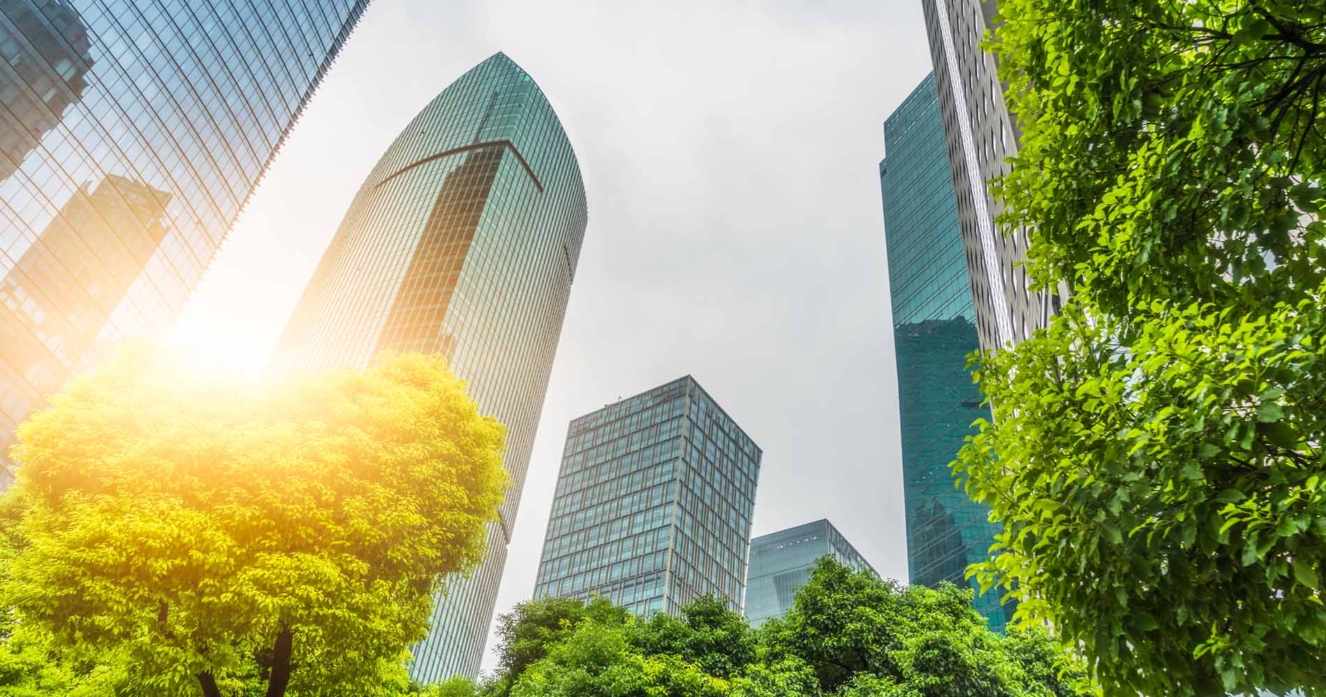 image of sky scrapers and trees against a clear sky