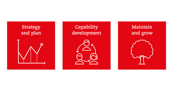 A figure of the three key implementation steps described in the text above. The figure shows three boxes, each containing one key step: strategy and plan; capability development; maintain and grow.