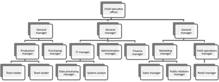 organizational chart of nike company