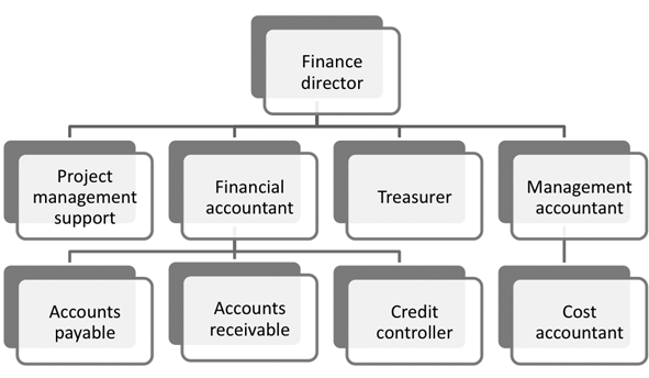 Draw The Organisational Chart Of Finance Function