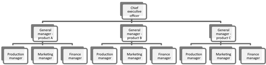 Draw The Organisational Chart Of Finance Function