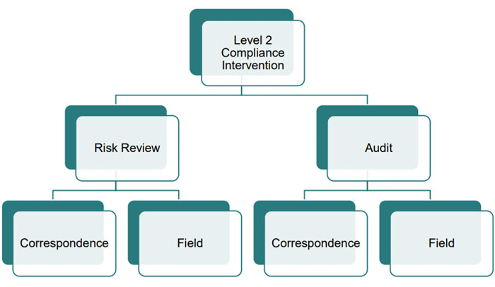 revenue-audit-2