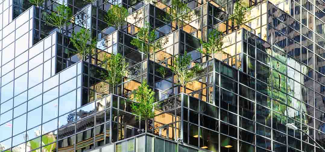shiny office windows with tress