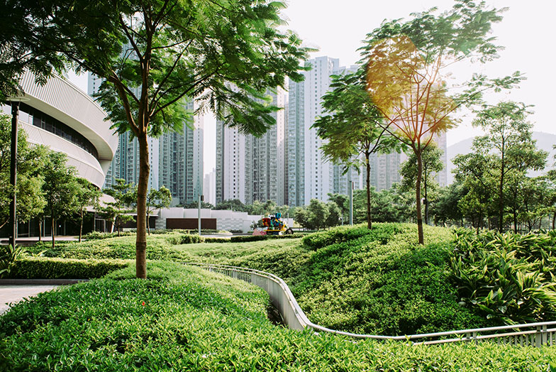 View of skyscrapers through park