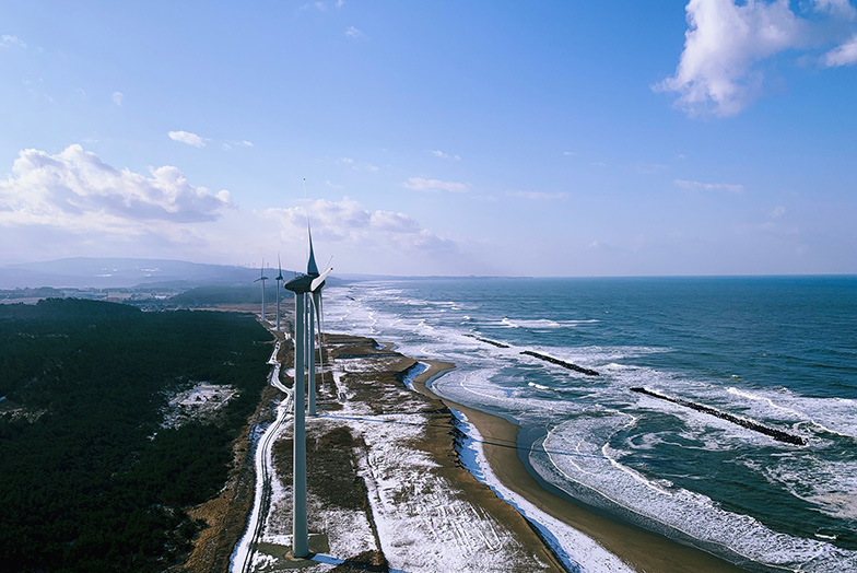 Windfarm on coastline
