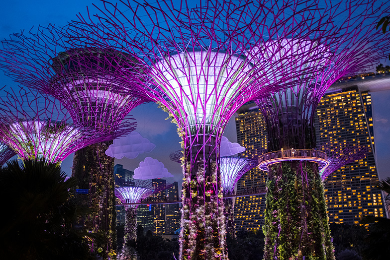 Manufactured trees lit up at night