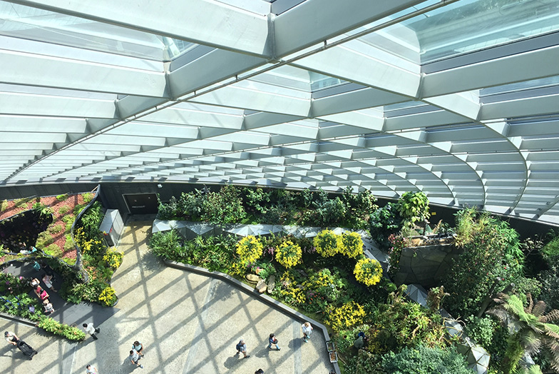 Atrium with people and trees