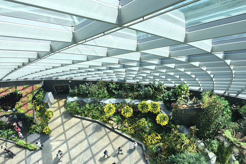 Aerial view of an indoor garden