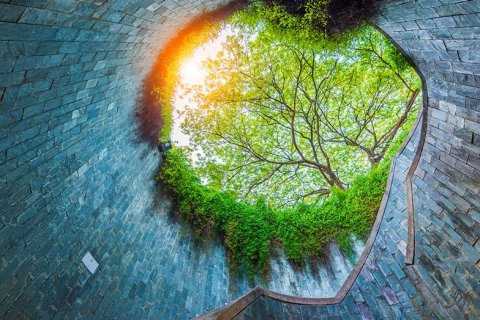 Sustainability half-day conference 2024 – Opening session | ACCA