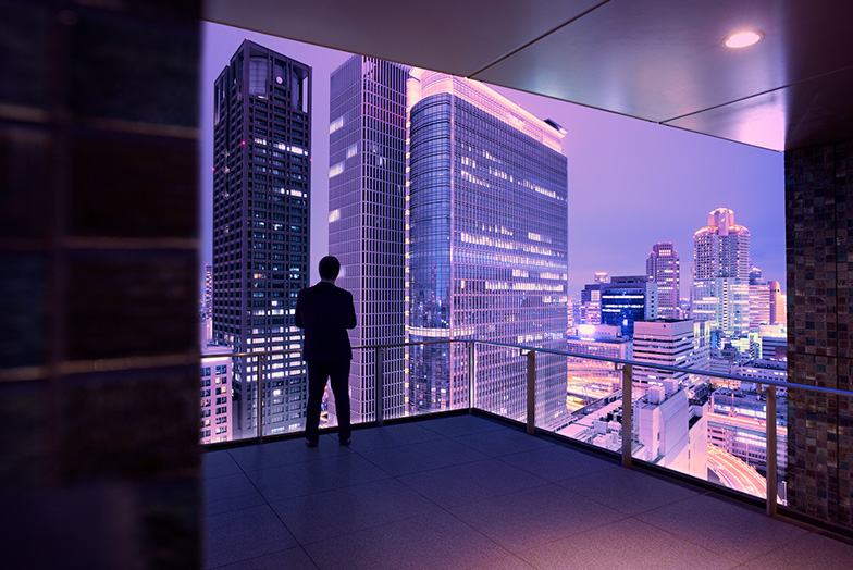 person looking out at skyline