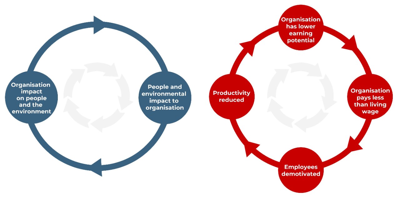 example of sustainability cycle